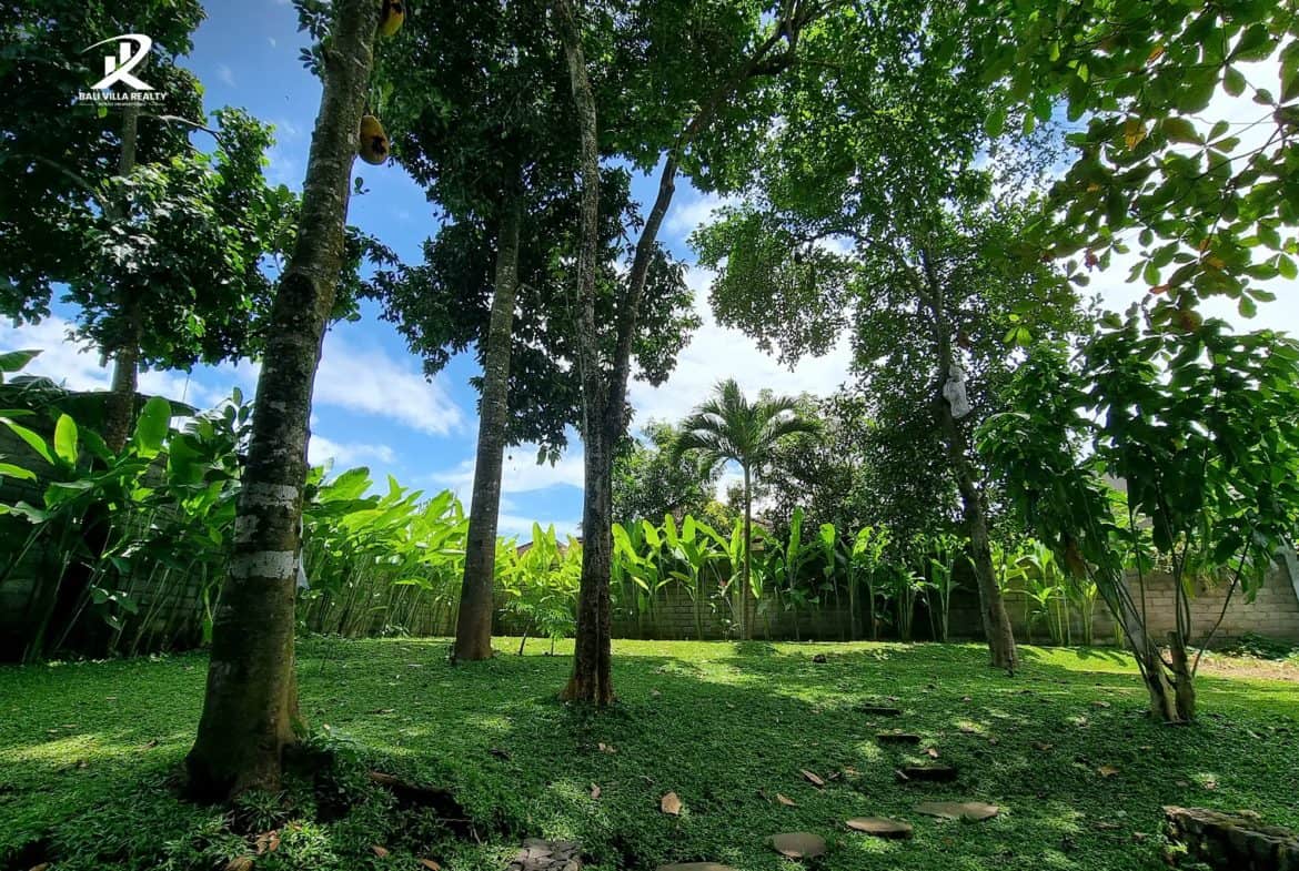 4-bedroom freehold villa in Tabanan — photo 5 of 5