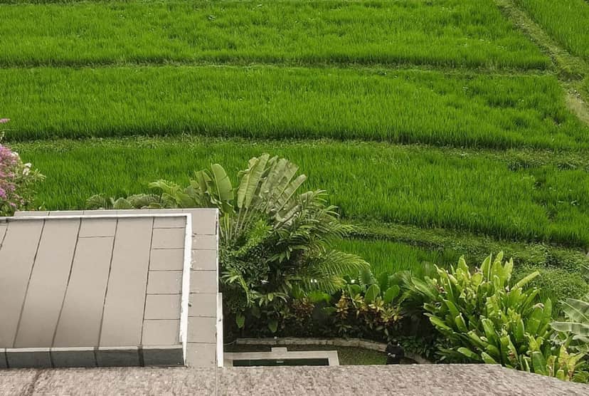 5-bedroom leasehold villa in Canggu — photo 5 of 5