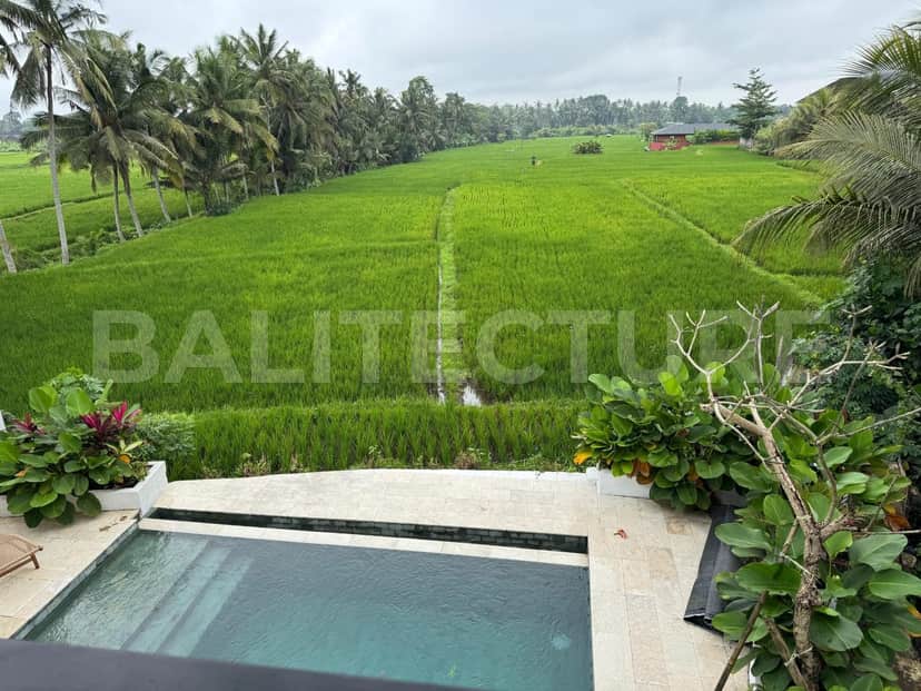 2-bedroom freehold villa in Ubud — photo 3 of 5