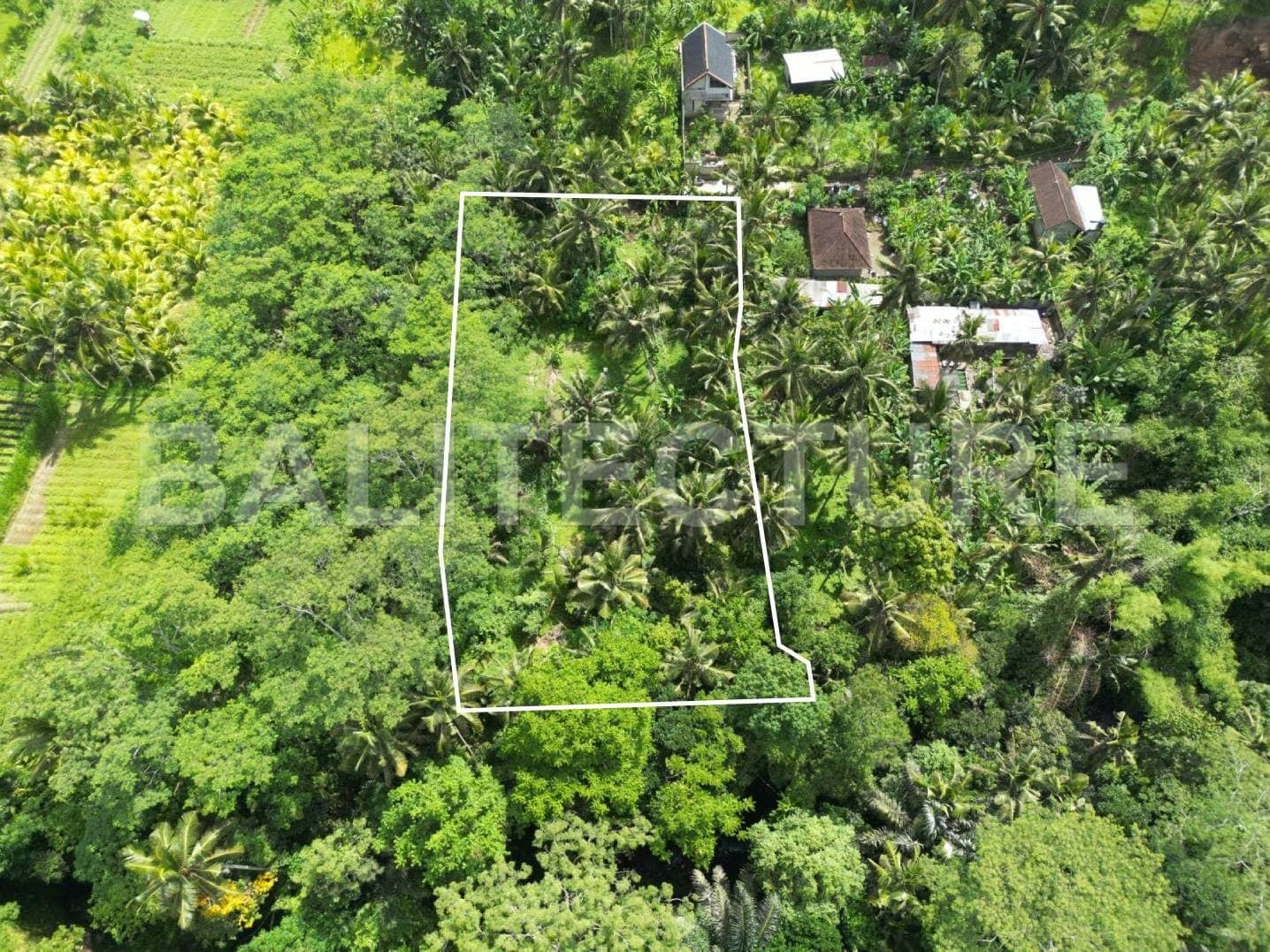 studio freehold villa in Bali — photo 4 of 4