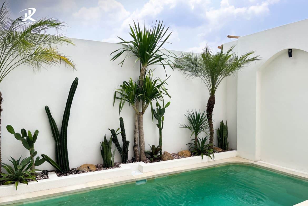 2-bedroom leasehold villa in Canggu — photo 3 of 5