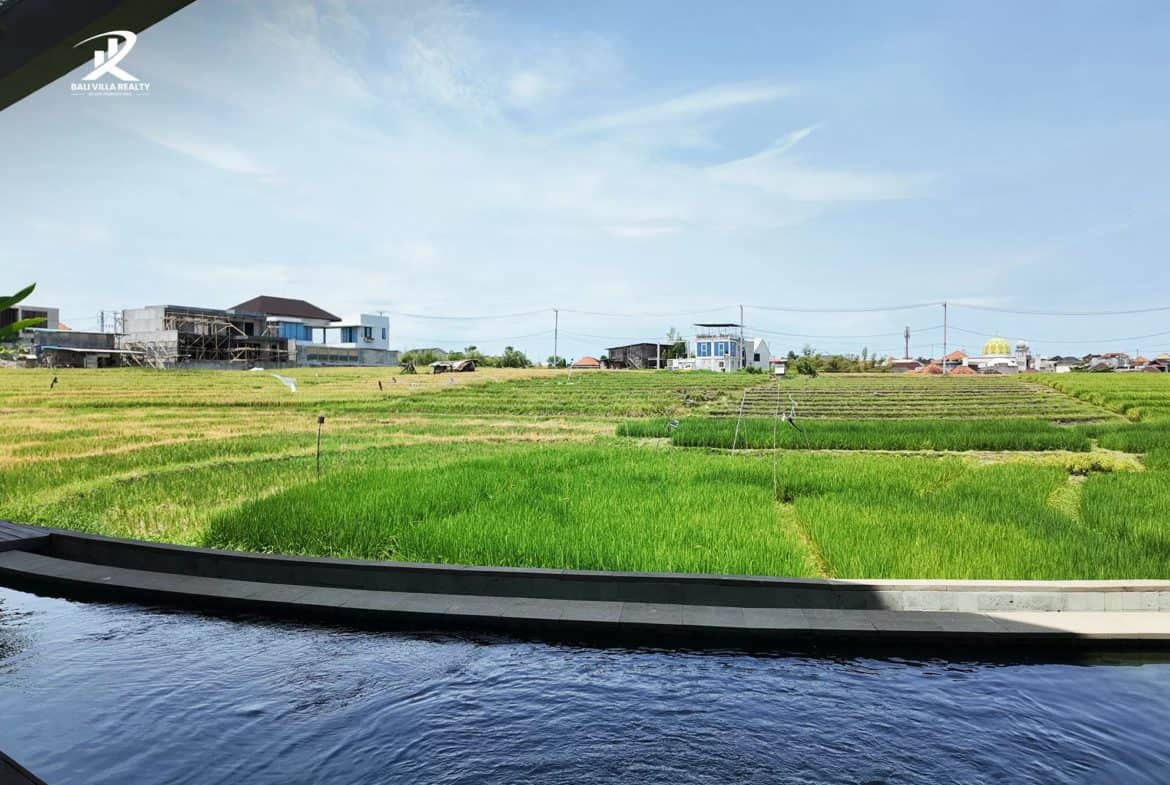 Refined 3-Bedroom Freehold Villa for Sale in Canggu with Natural Stone Accents