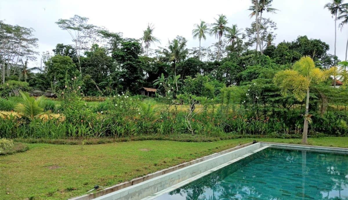 3-bedroom leasehold villa in Ubud — photo 5 of 5