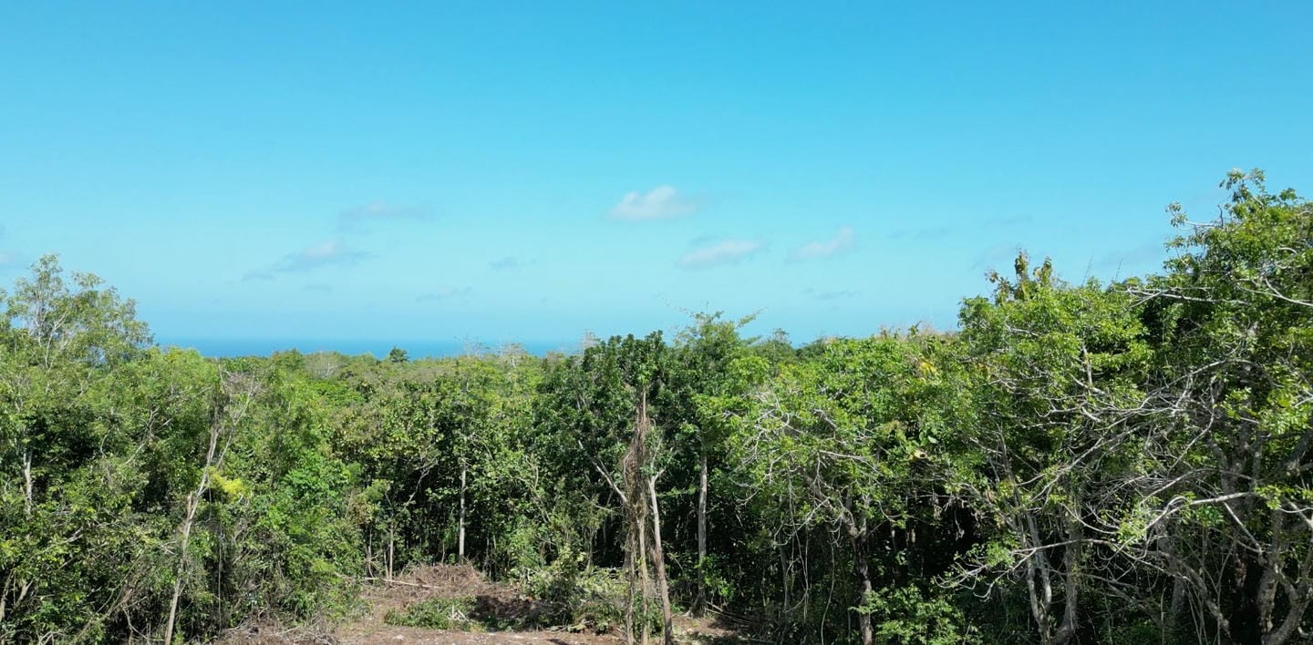 Offplan 4 Bedroom Villa for Sale Leasehold in Pecatu Be-3177