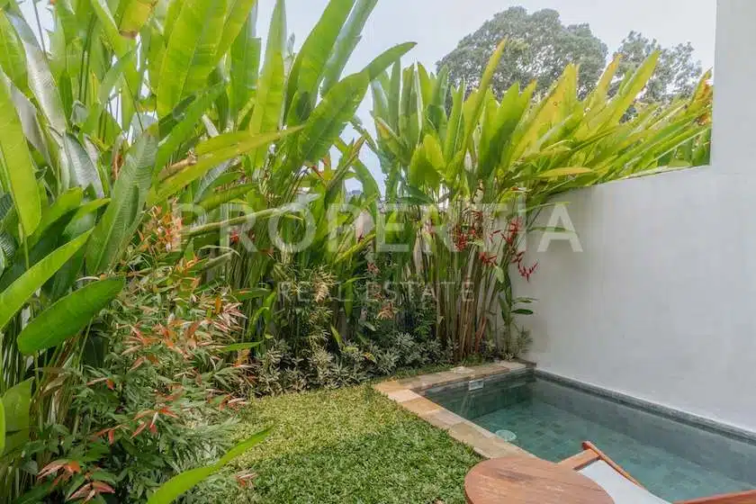 1-bedroom freehold villa in Canggu — photo 3 of 5