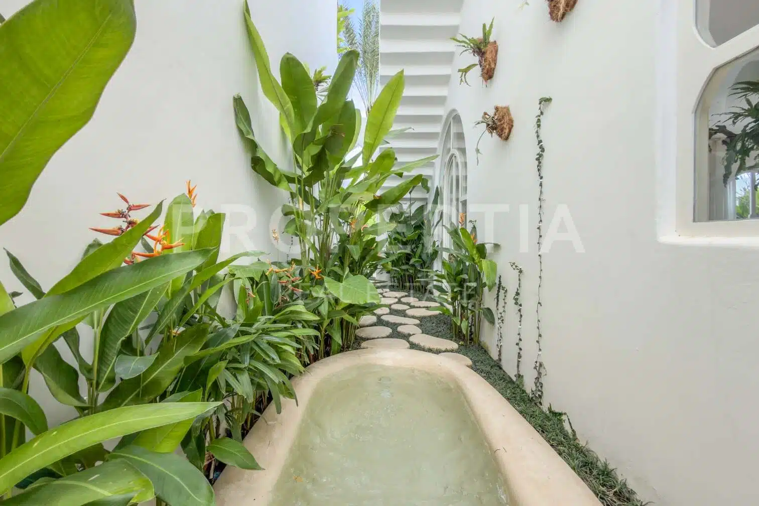 studio freehold villa in Seseh/Cemagi — photo 5 of 5