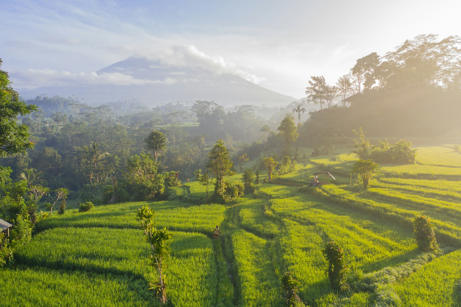 Bali rice terraces below Mount Agung — Brixfox short-term-rental data by area, 2026